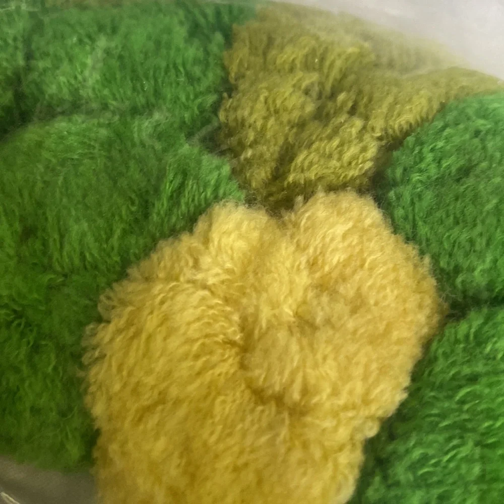 Pottery Barn Teen Dr. Seuss The Grinch Cindy Lou Holiday Pom Pom Pillow Cover